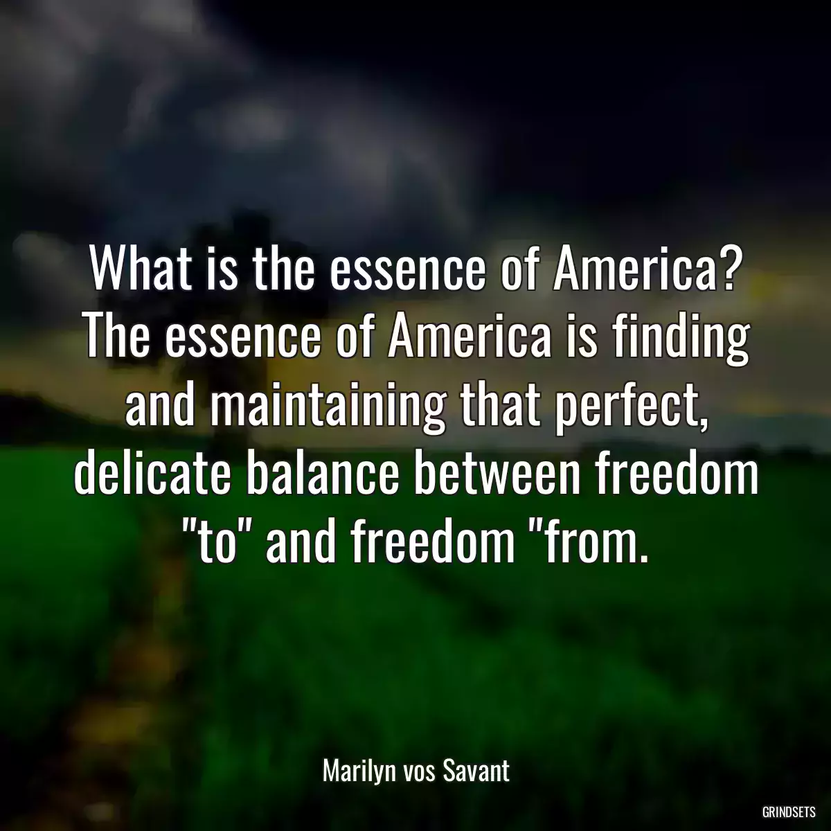 What is the essence of America? The essence of America is finding and maintaining that perfect, delicate balance between freedom \
