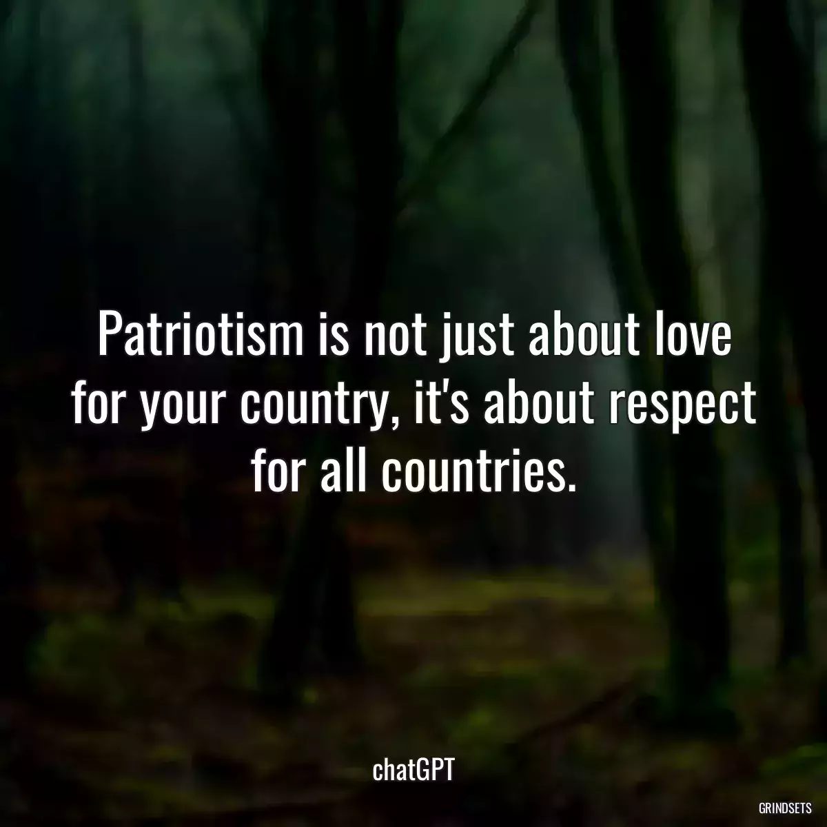 Patriotism is not just about love for your country, it\'s about respect for all countries.