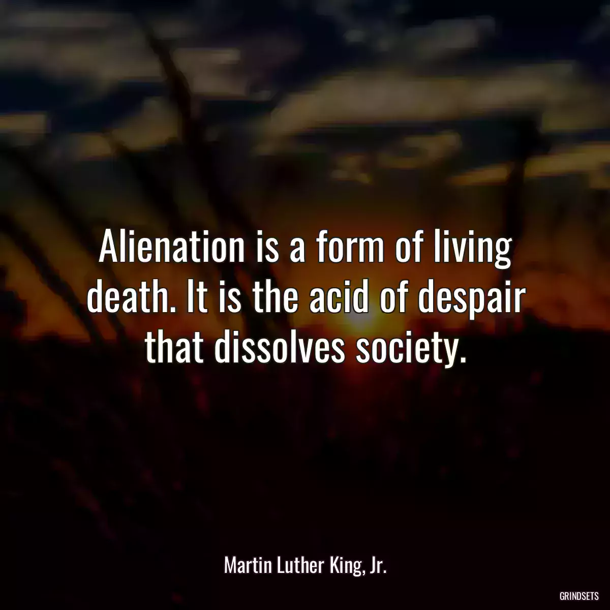 Alienation is a form of living death. It is the acid of despair that dissolves society.