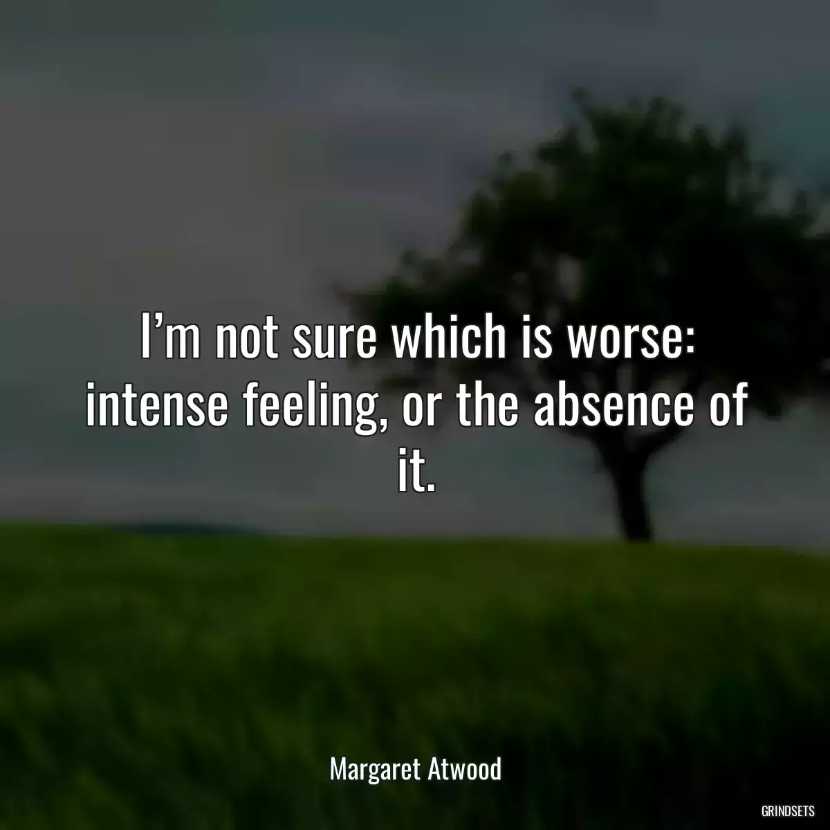 I’m not sure which is worse: intense feeling, or the absence of it.