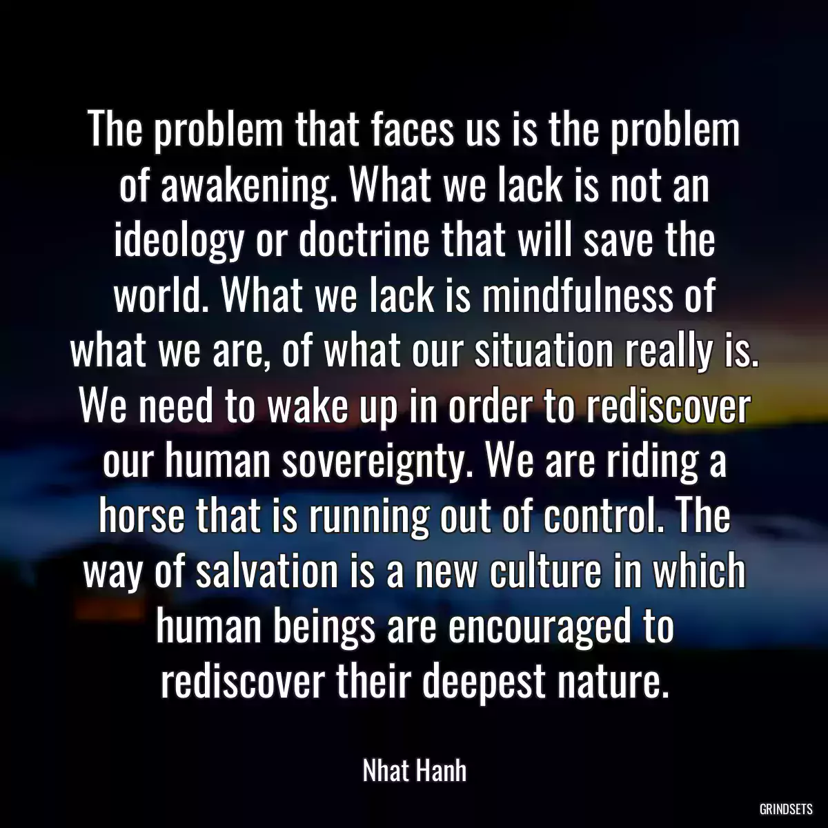 The problem that faces us is the problem of awakening. What we lack is not an ideology or doctrine that will save the world. What we lack is mindfulness of what we are, of what our situation really is. We need to wake up in order to rediscover our human sovereignty. We are riding a horse that is running out of control. The way of salvation is a new culture in which human beings are encouraged to rediscover their deepest nature.