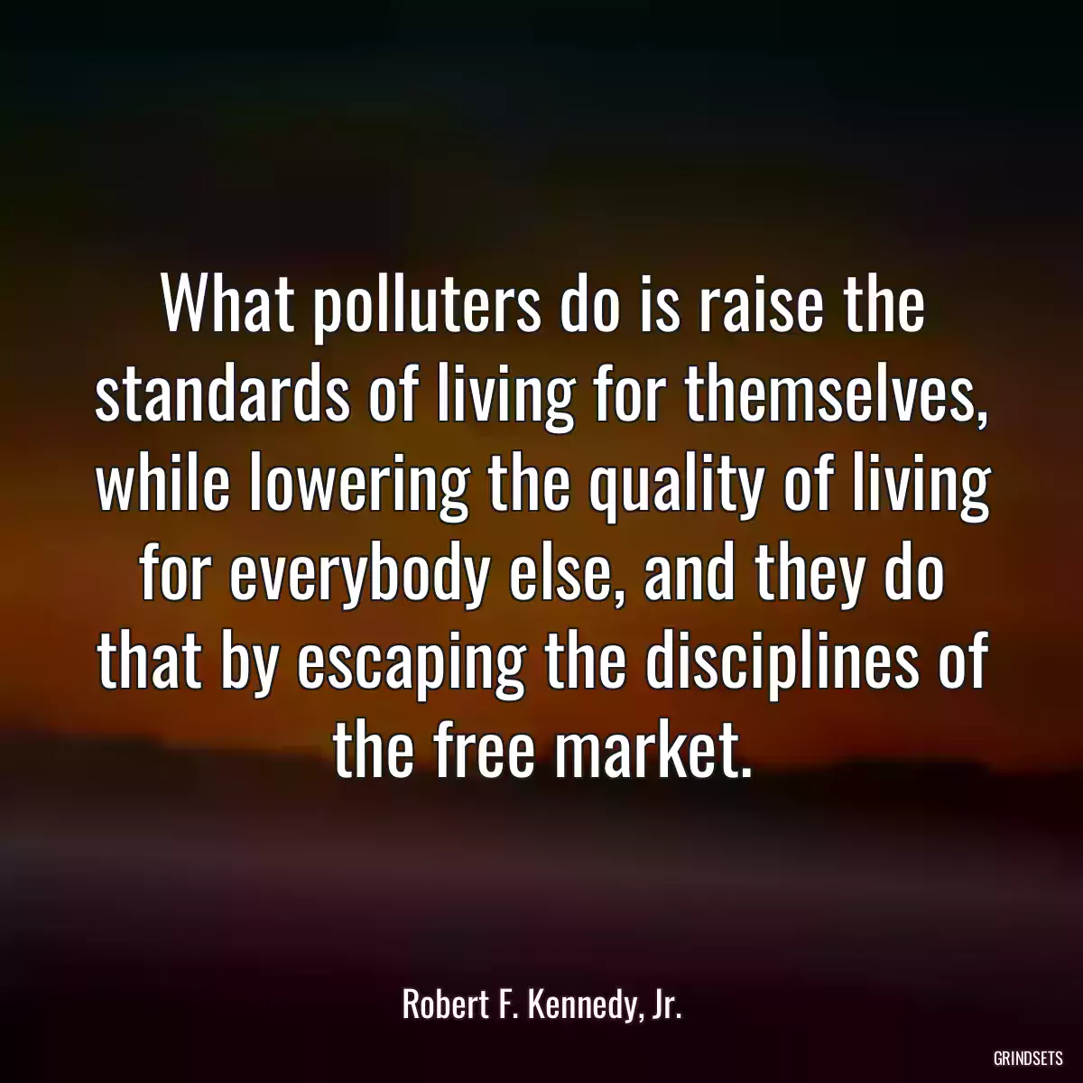 What polluters do is raise the standards of living for themselves, while lowering the quality of living for everybody else, and they do that by escaping the disciplines of the free market.