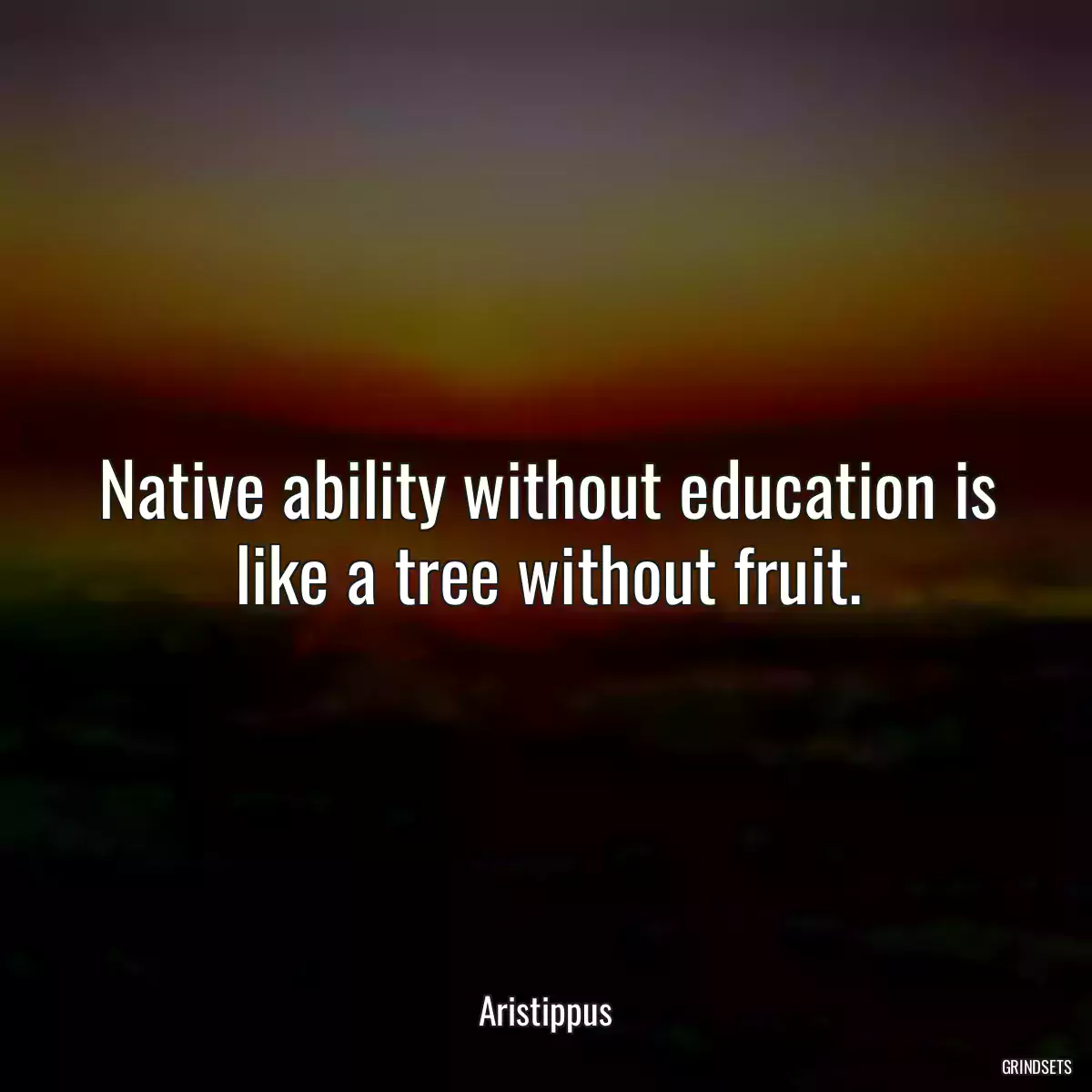 Native ability without education is like a tree without fruit.