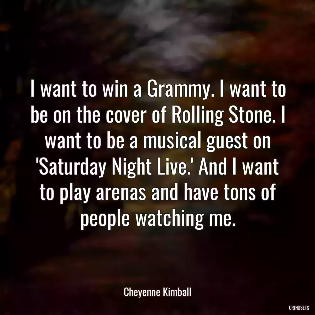 I want to win a Grammy. I want to be on the cover of Rolling Stone. I want to be a musical guest on \'Saturday Night Live.\' And I want to play arenas and have tons of people watching me.