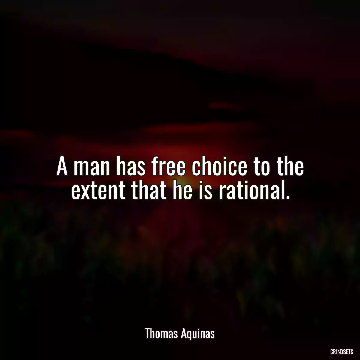 A man has free choice to the extent that he is rational.