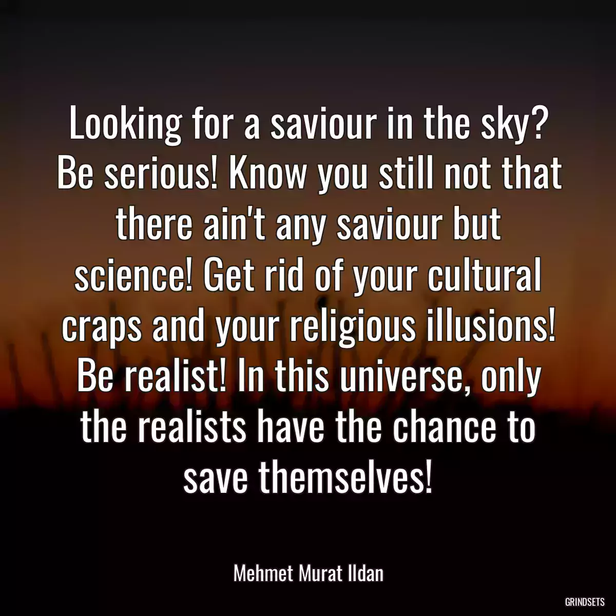 Looking for a saviour in the sky? Be serious! Know you still not that there ain\'t any saviour but science! Get rid of your cultural craps and your religious illusions! Be realist! In this universe, only the realists have the chance to save themselves!