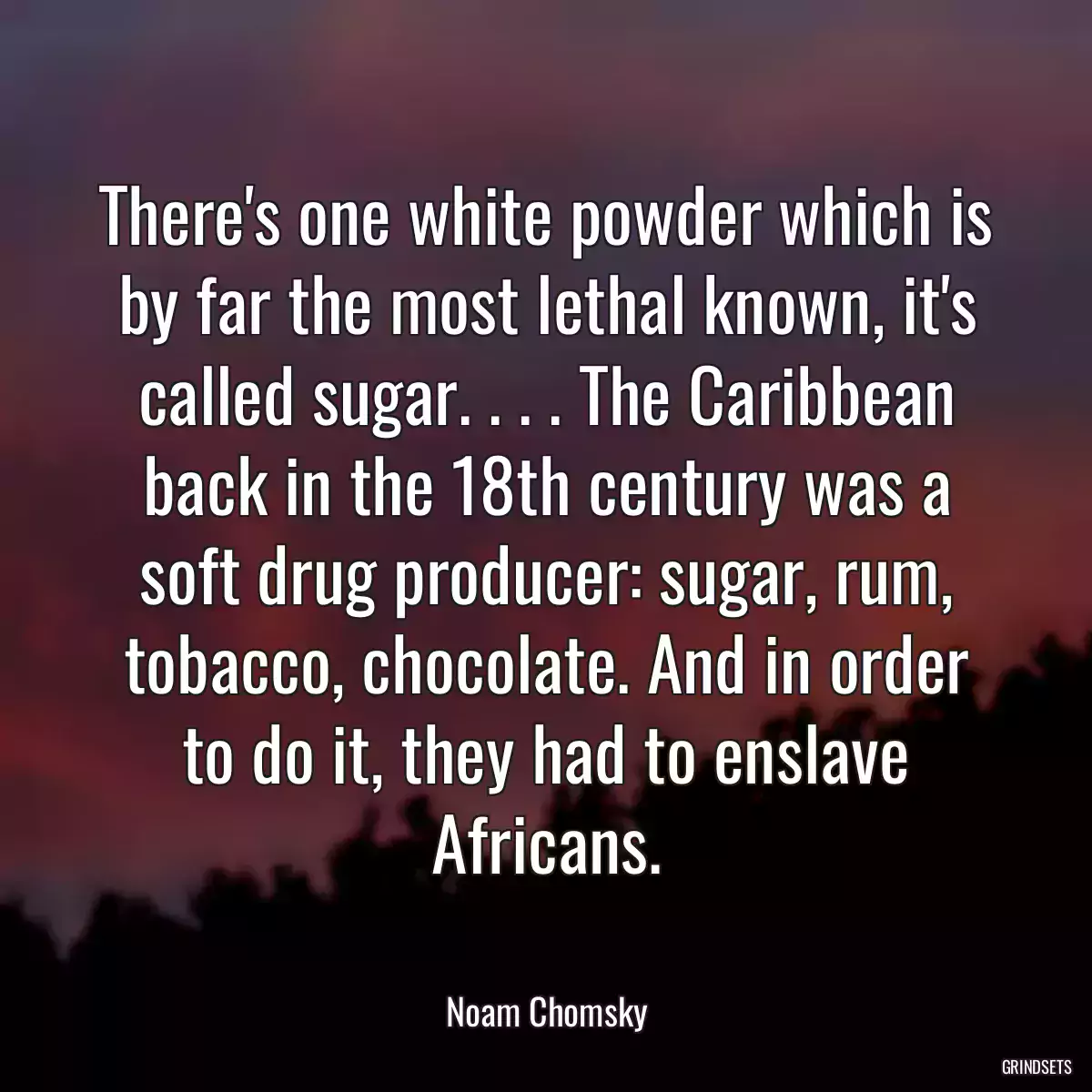 There\'s one white powder which is by far the most lethal known, it\'s called sugar. . . . The Caribbean back in the 18th century was a soft drug producer: sugar, rum, tobacco, chocolate. And in order to do it, they had to enslave Africans.