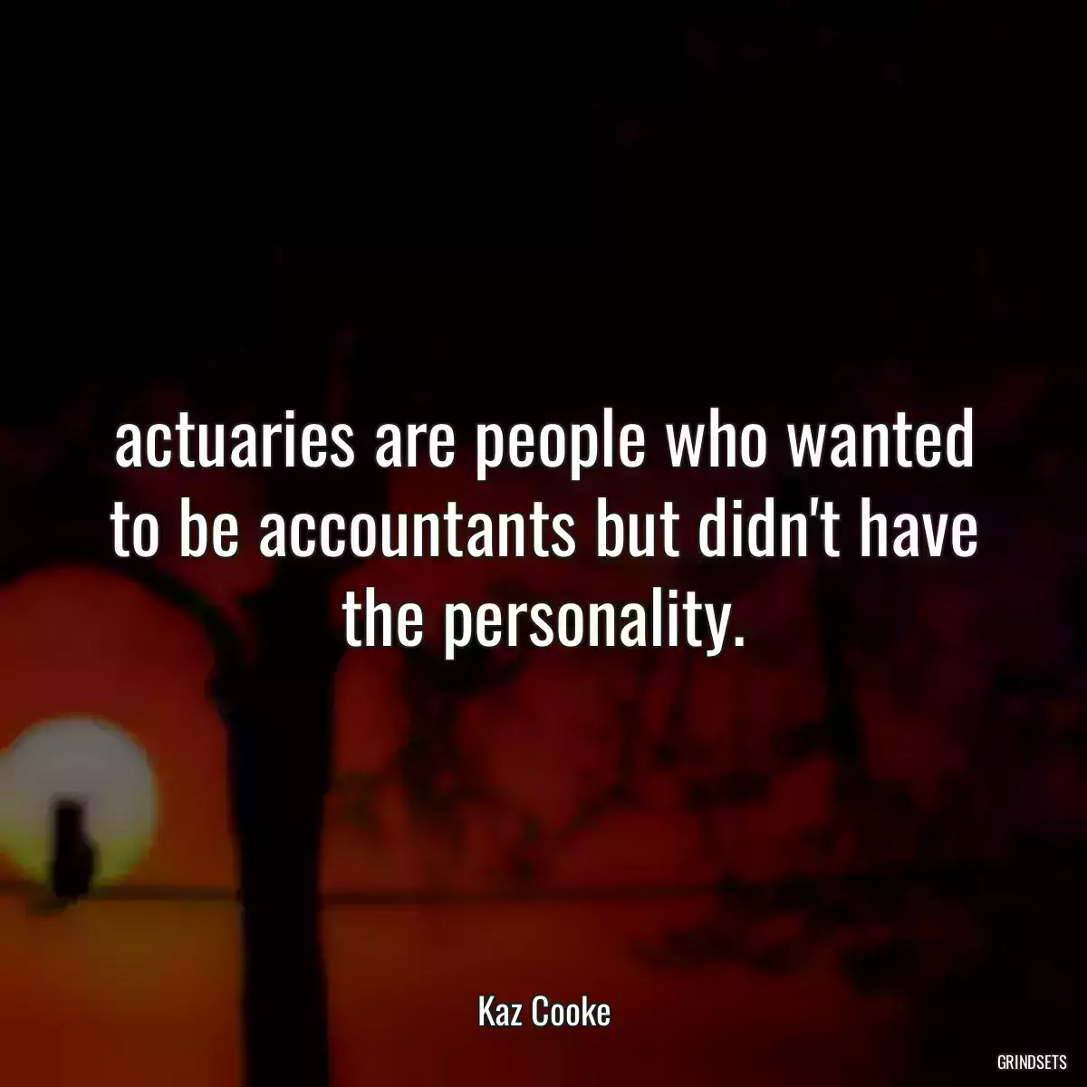 actuaries are people who wanted to be accountants but didn\'t have the personality.