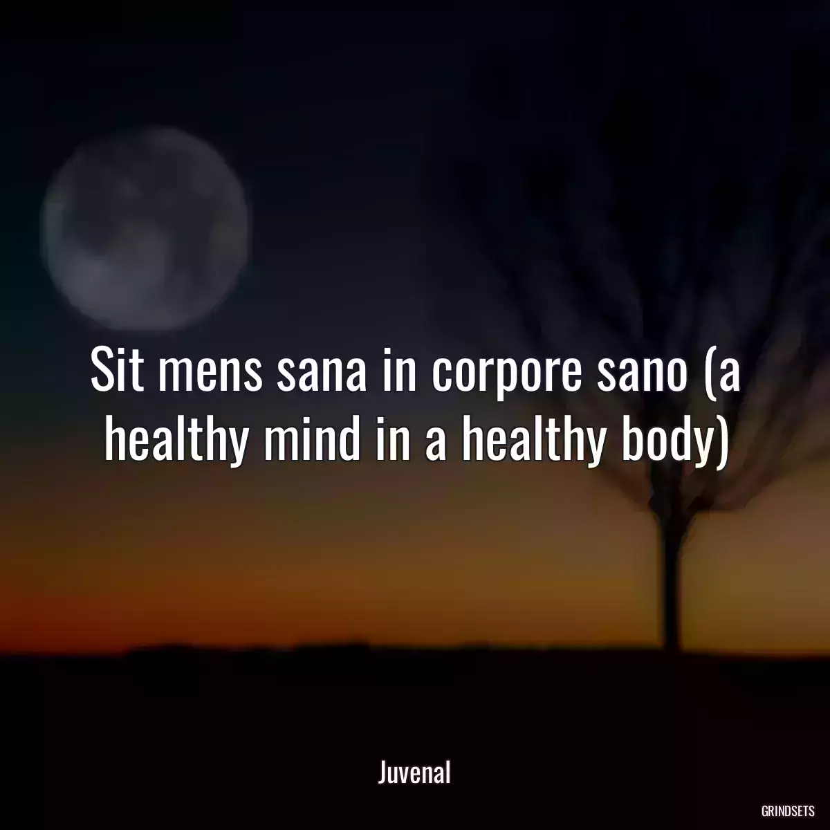 Sit mens sana in corpore sano (a healthy mind in a healthy body)