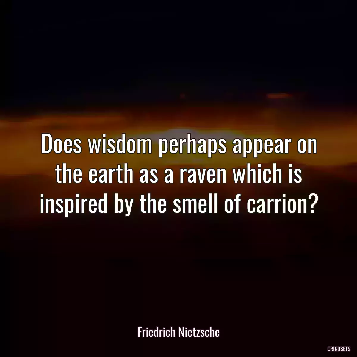 Does wisdom perhaps appear on the earth as a raven which is inspired by the smell of carrion?