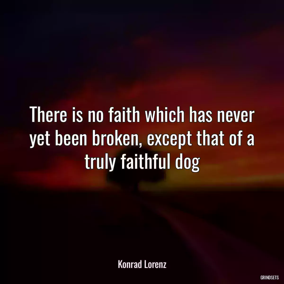 There is no faith which has never yet been broken, except that of a truly faithful dog