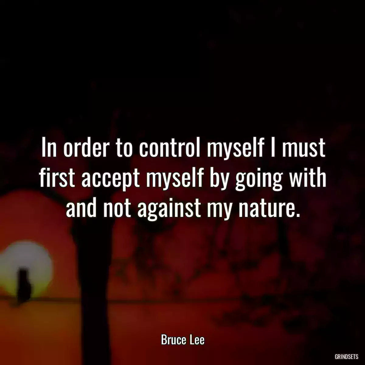 In order to control myself I must first accept myself by going with and not against my nature.