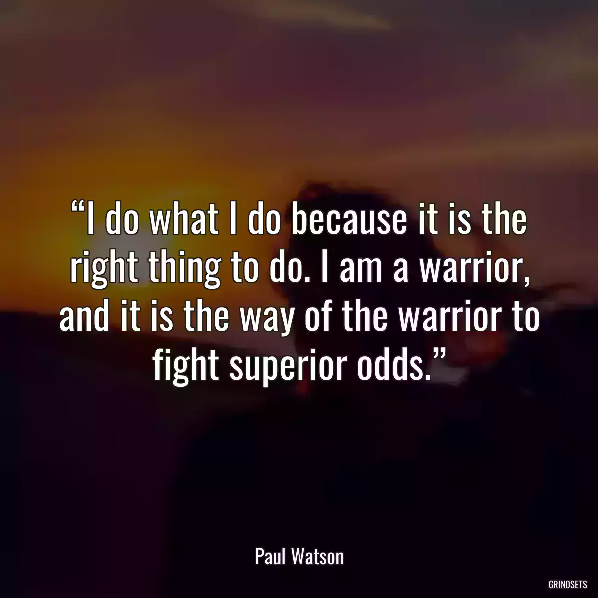 “I do what I do because it is the right thing to do. I am a warrior, and it is the way of the warrior to fight superior odds.”