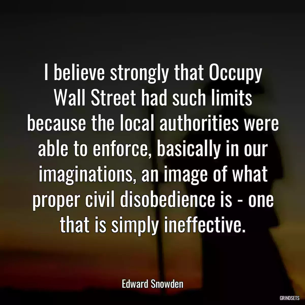 I believe strongly that Occupy Wall Street had such limits because the local authorities were able to enforce, basically in our imaginations, an image of what proper civil disobedience is - one that is simply ineffective.