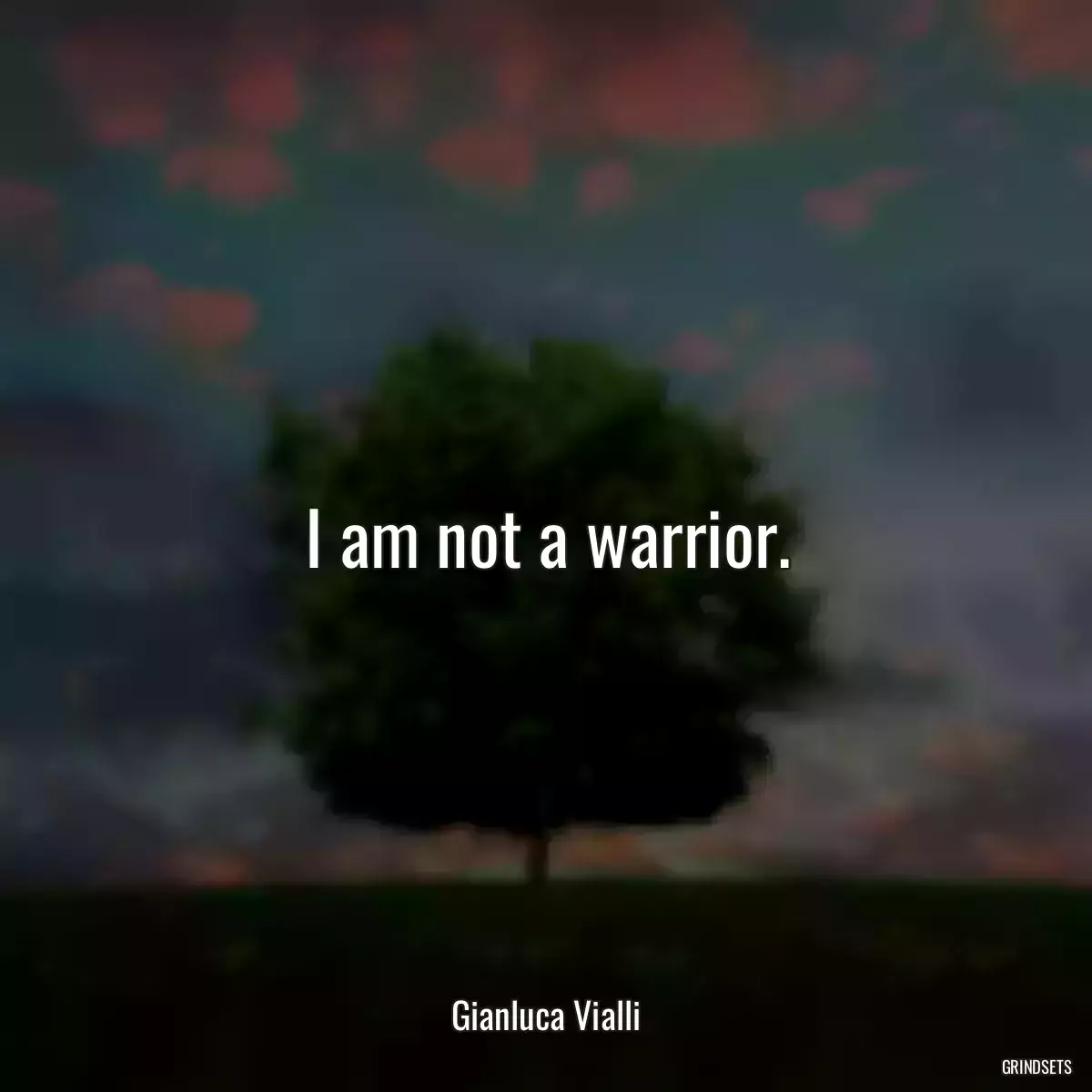 I am not a warrior.