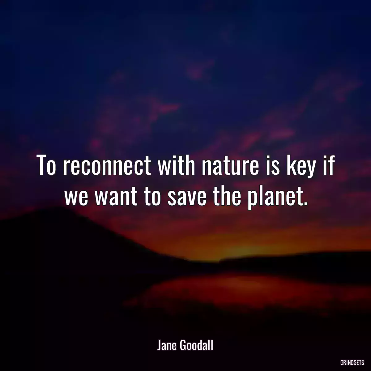 To reconnect with nature is key if we want to save the planet.