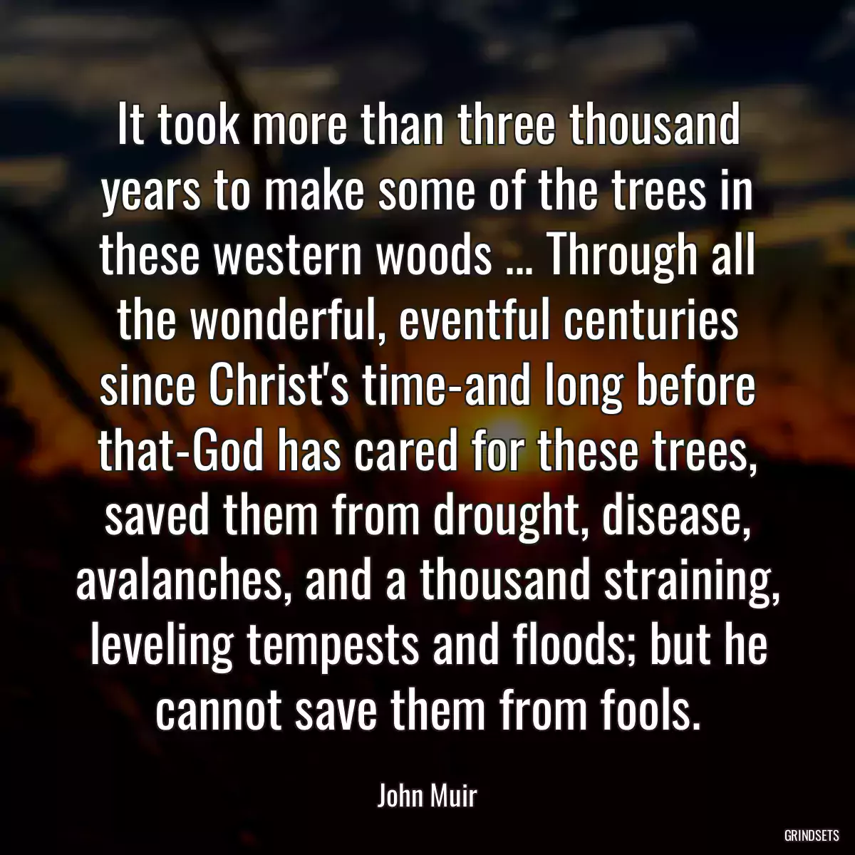 It took more than three thousand years to make some of the trees in these western woods ... Through all the wonderful, eventful centuries since Christ\'s time-and long before that-God has cared for these trees, saved them from drought, disease, avalanches, and a thousand straining, leveling tempests and floods; but he cannot save them from fools.