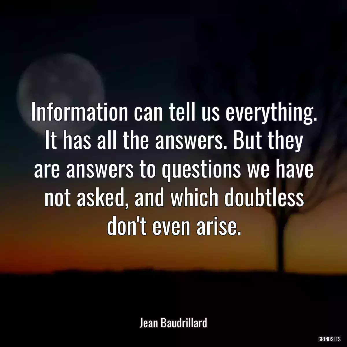 Information can tell us everything. It has all the answers. But they are answers to questions we have not asked, and which doubtless don\'t even arise.