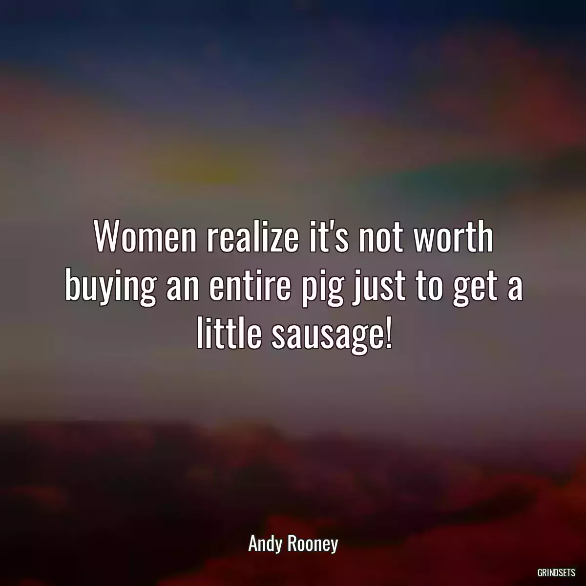 Women realize it\'s not worth buying an entire pig just to get a little sausage!