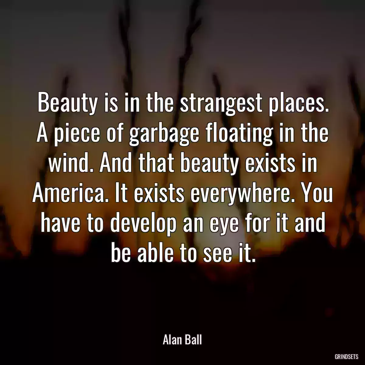 Beauty is in the strangest places. A piece of garbage floating in the wind. And that beauty exists in America. It exists everywhere. You have to develop an eye for it and be able to see it.