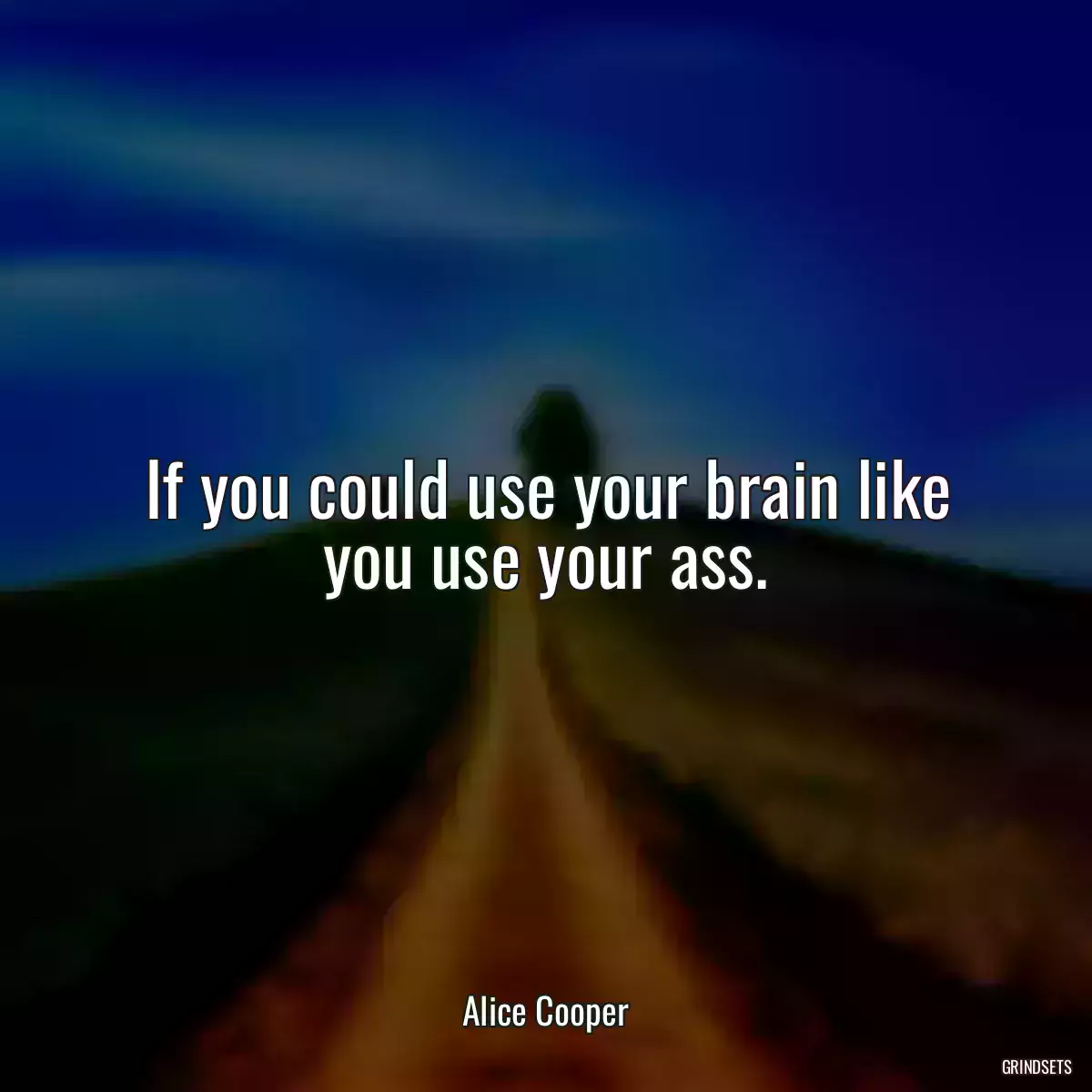 If you could use your brain like you use your ass.