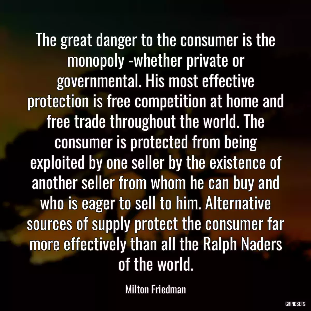 The great danger to the consumer is the monopoly -whether private or governmental. His most effective protection is free competition at home and free trade throughout the world. The consumer is protected from being exploited by one seller by the existence of another seller from whom he can buy and who is eager to sell to him. Alternative sources of supply protect the consumer far more effectively than all the Ralph Naders of the world.