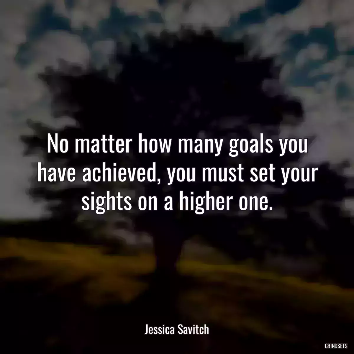 No matter how many goals you have achieved, you must set your sights on a higher one.