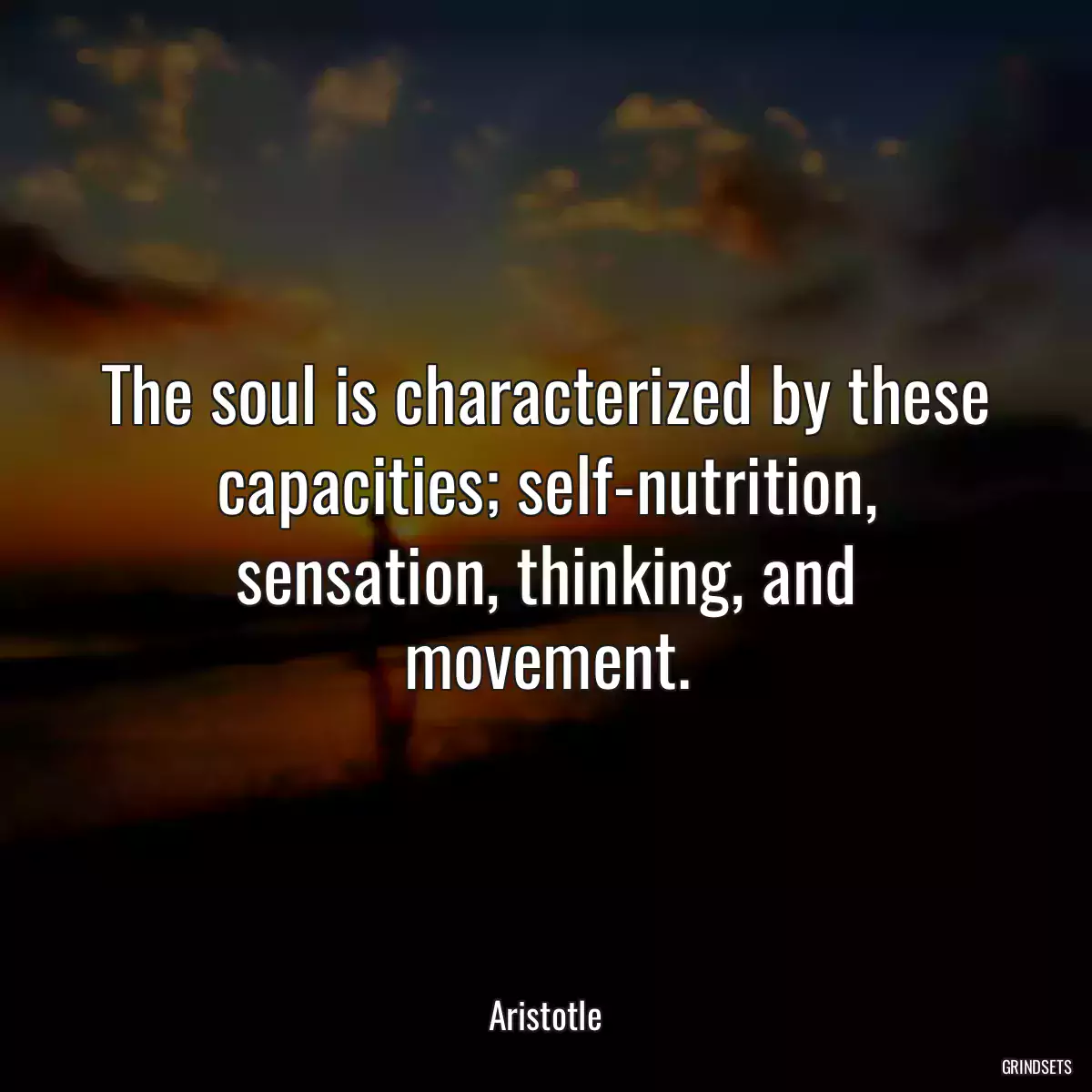 The soul is characterized by these capacities; self-nutrition, sensation, thinking, and movement.