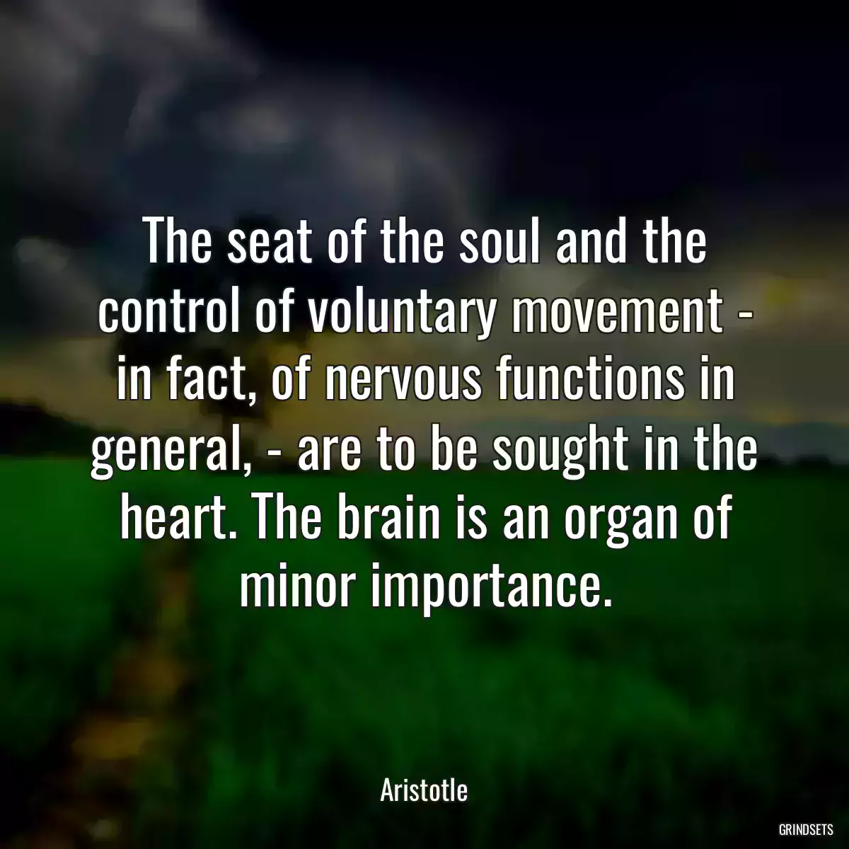 The seat of the soul and the control of voluntary movement - in fact, of nervous functions in general, - are to be sought in the heart. The brain is an organ of minor importance.