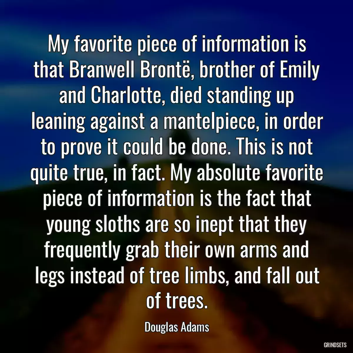 My favorite piece of information is that Branwell Brontë, brother of Emily and Charlotte, died standing up leaning against a mantelpiece, in order to prove it could be done. This is not quite true, in fact. My absolute favorite piece of information is the fact that young sloths are so inept that they frequently grab their own arms and legs instead of tree limbs, and fall out of trees.