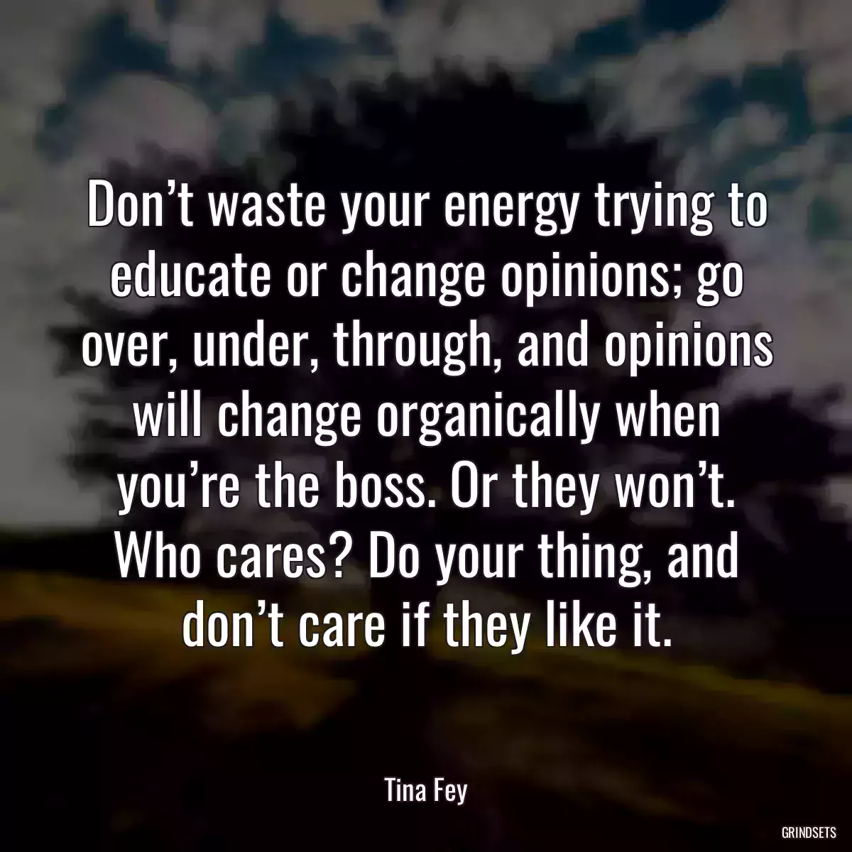 Don’t waste your energy trying to educate or change opinions; go over, under, through, and opinions will change organically when you’re the boss. Or they won’t. Who cares? Do your thing, and don’t care if they like it.