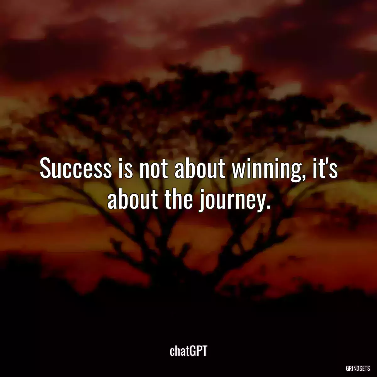 Success is not about winning, it\'s about the journey.