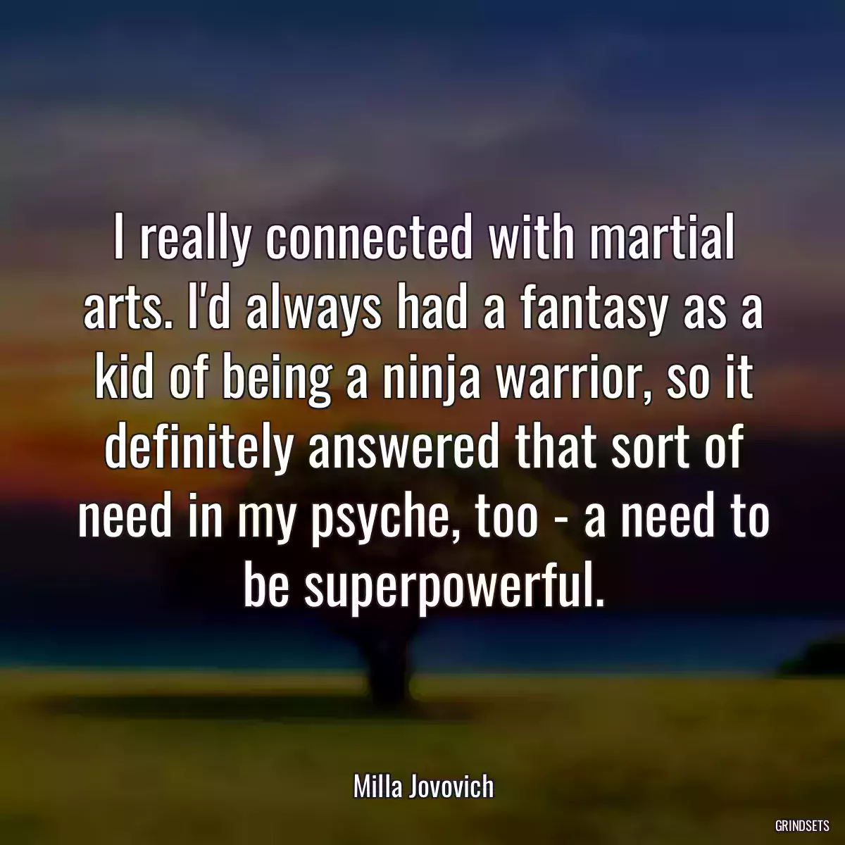 I really connected with martial arts. I\'d always had a fantasy as a kid of being a ninja warrior, so it definitely answered that sort of need in my psyche, too - a need to be superpowerful.