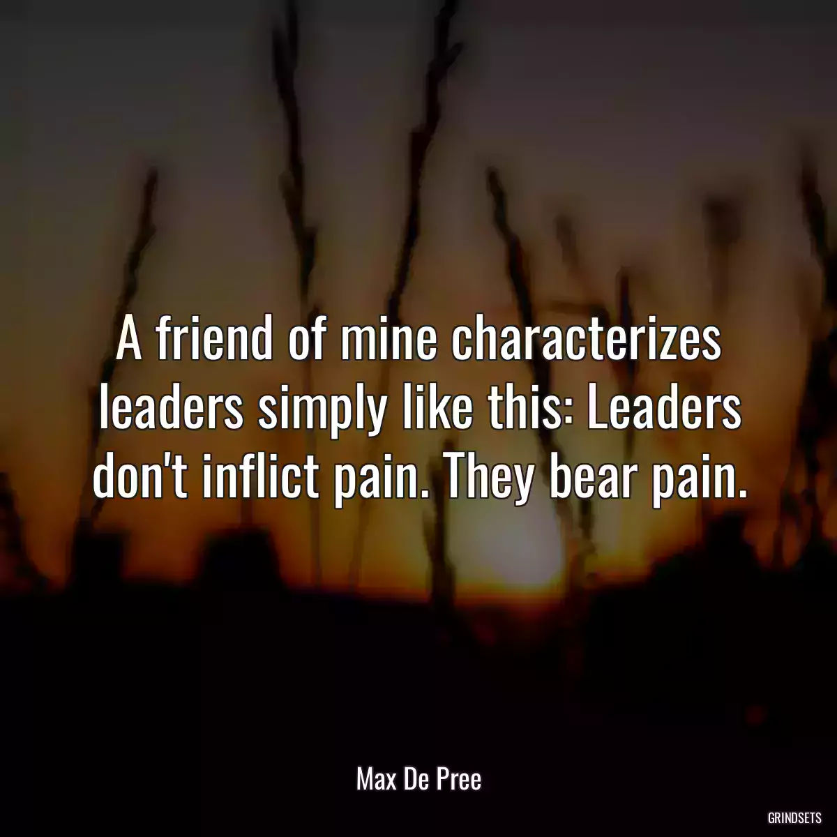 A friend of mine characterizes leaders simply like this: Leaders don\'t inflict pain. They bear pain.