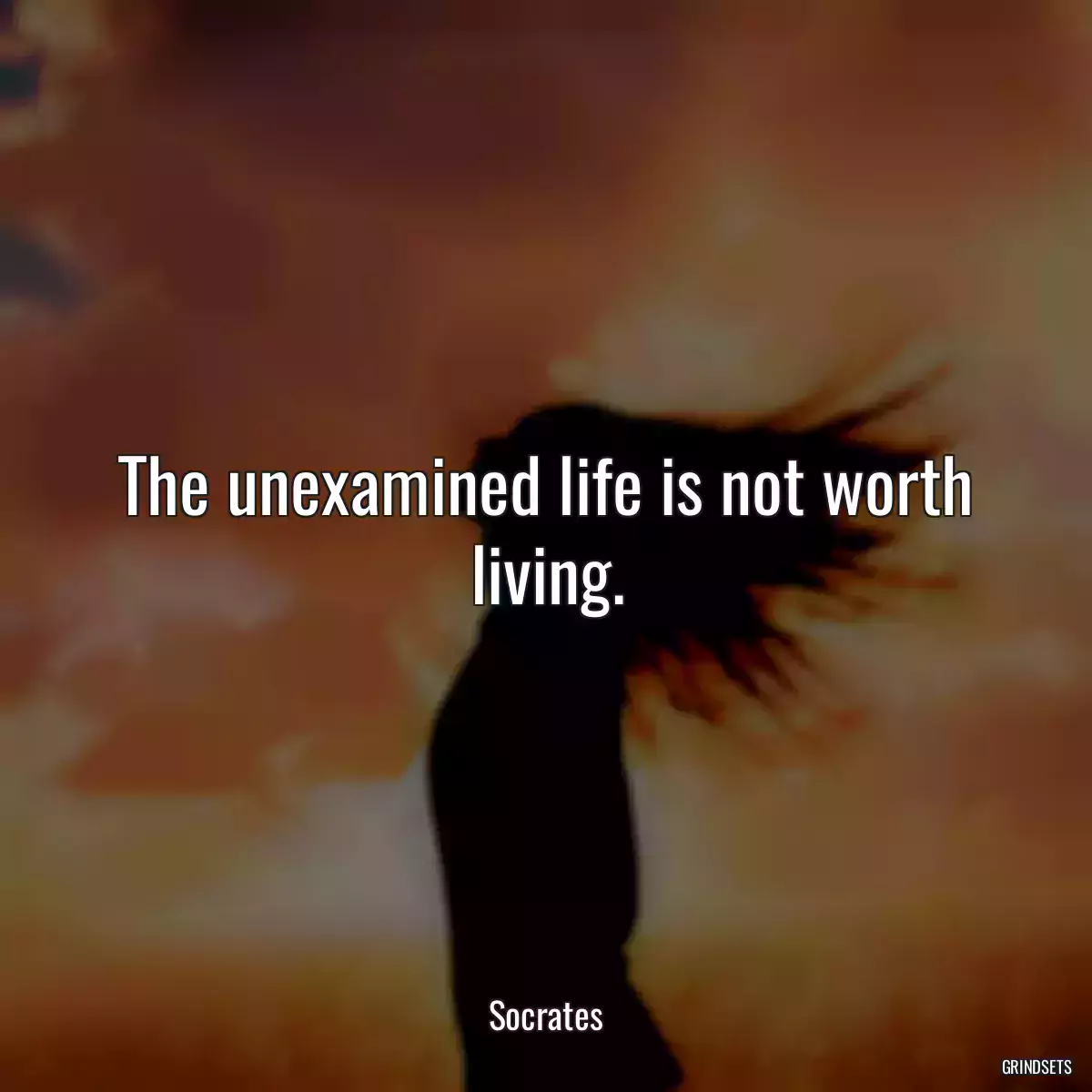 The unexamined life is not worth living.