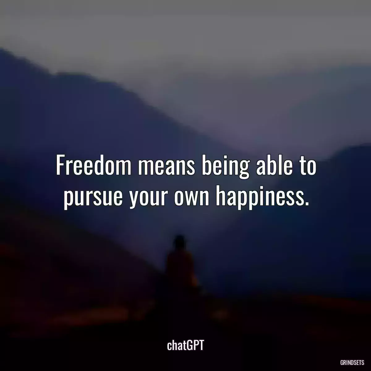 Freedom means being able to pursue your own happiness.