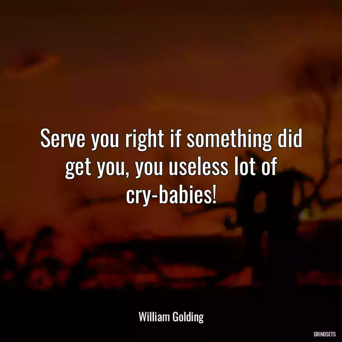 Serve you right if something did get you, you useless lot of cry-babies!