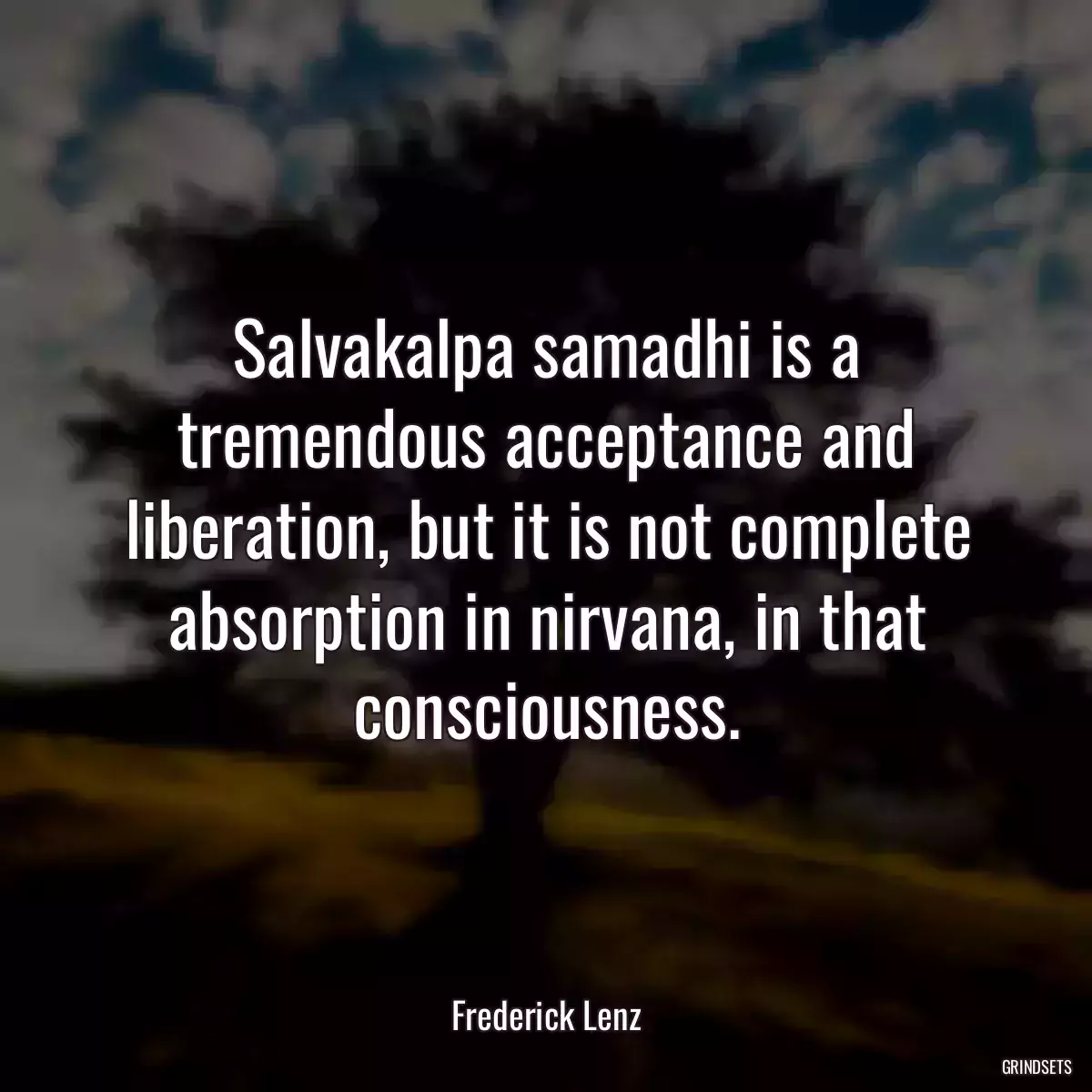 Salvakalpa samadhi is a tremendous acceptance and liberation, but it is not complete absorption in nirvana, in that consciousness.