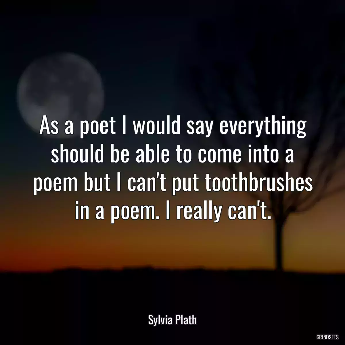 As a poet I would say everything should be able to come into a poem but I can\'t put toothbrushes in a poem. I really can\'t.