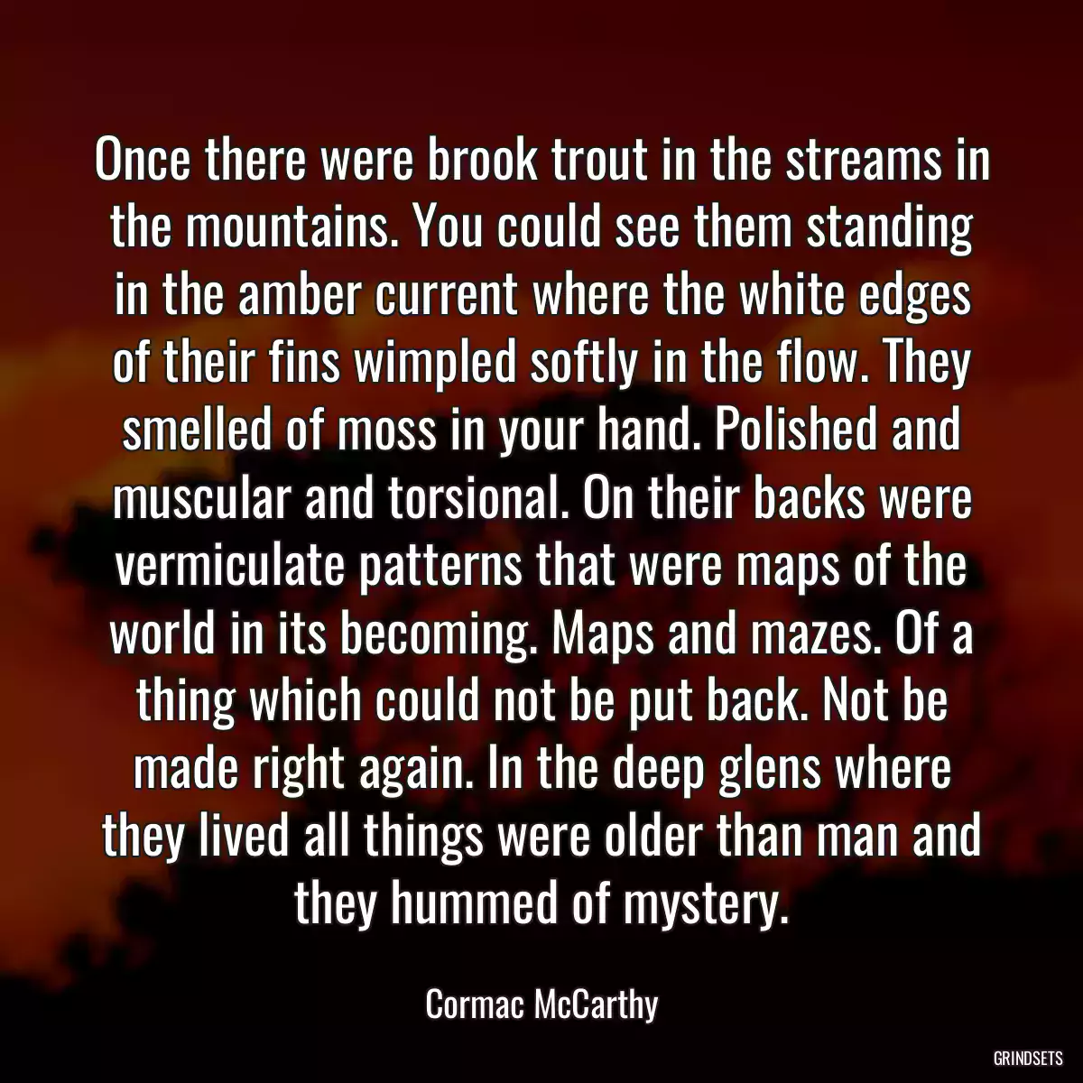 Once there were brook trout in the streams in the mountains. You could see them standing in the amber current where the white edges of their fins wimpled softly in the flow. They smelled of moss in your hand. Polished and muscular and torsional. On their backs were vermiculate patterns that were maps of the world in its becoming. Maps and mazes. Of a thing which could not be put back. Not be made right again. In the deep glens where they lived all things were older than man and they hummed of mystery.