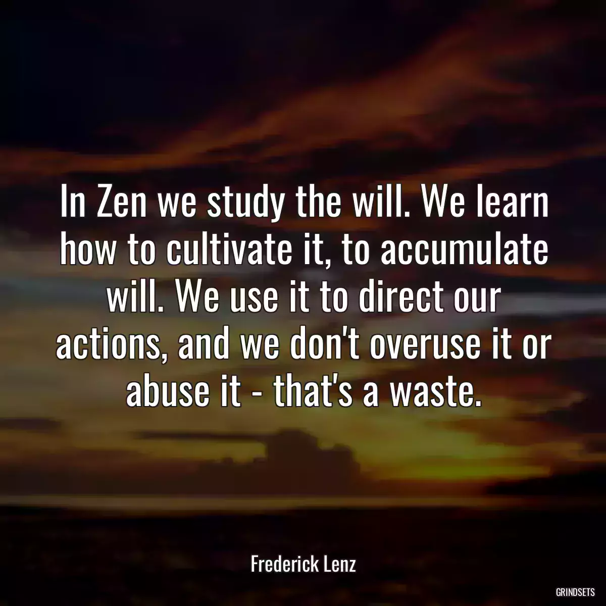 In Zen we study the will. We learn how to cultivate it, to accumulate will. We use it to direct our actions, and we don\'t overuse it or abuse it - that\'s a waste.