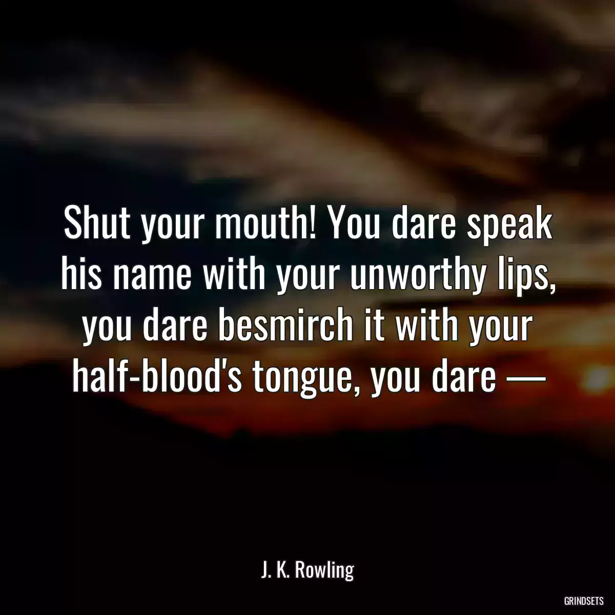 Shut your mouth! You dare speak his name with your unworthy lips, you dare besmirch it with your half-blood\'s tongue, you dare —