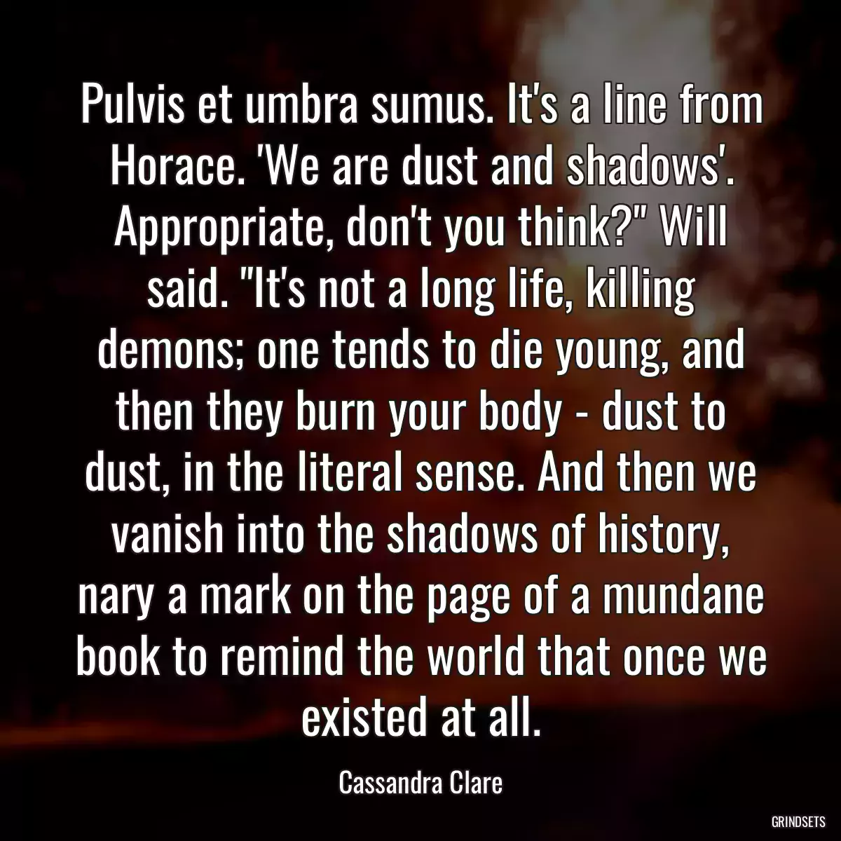 Pulvis et umbra sumus. It\'s a line from Horace. \'We are dust and shadows\'. Appropriate, don\'t you think?\