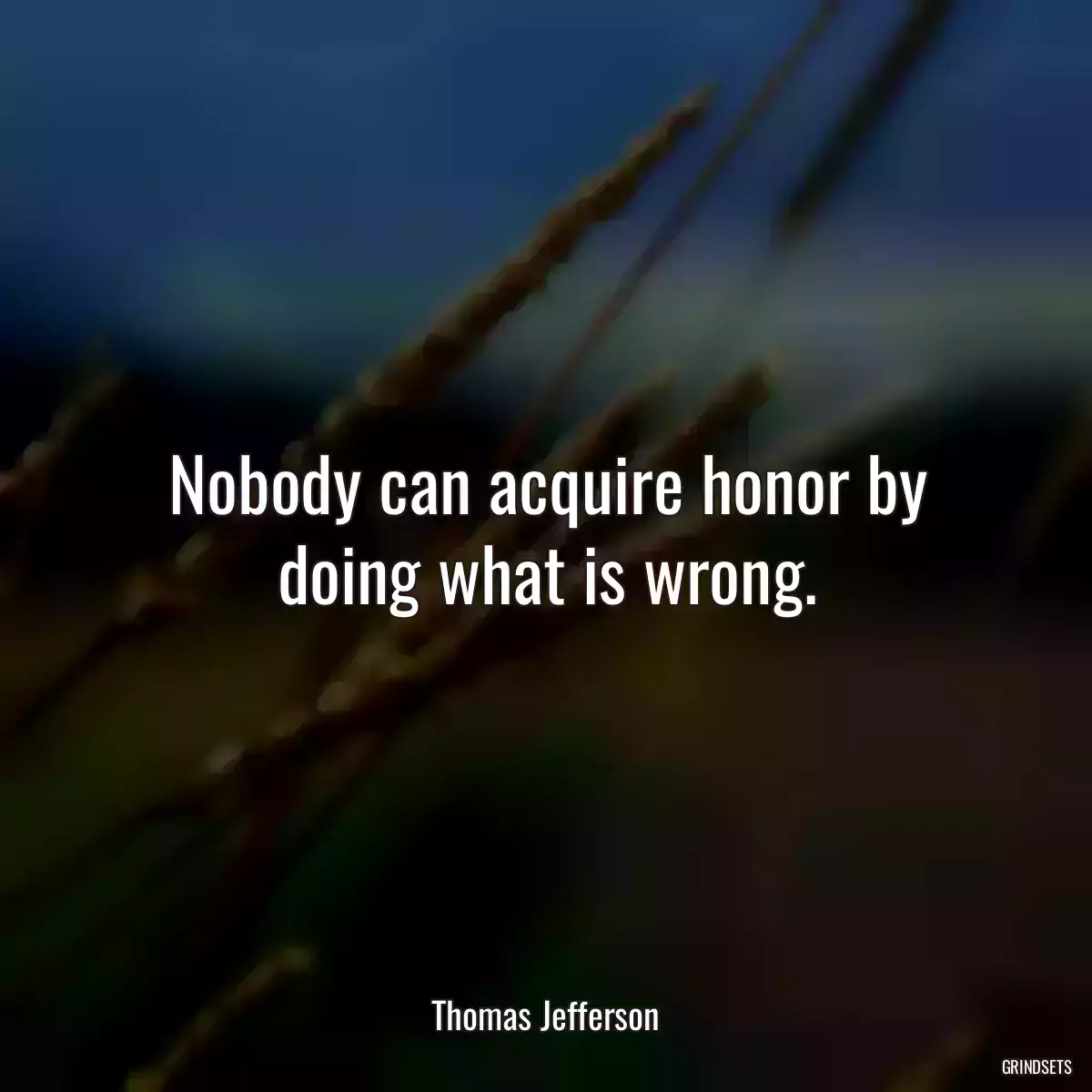 Nobody can acquire honor by doing what is wrong.