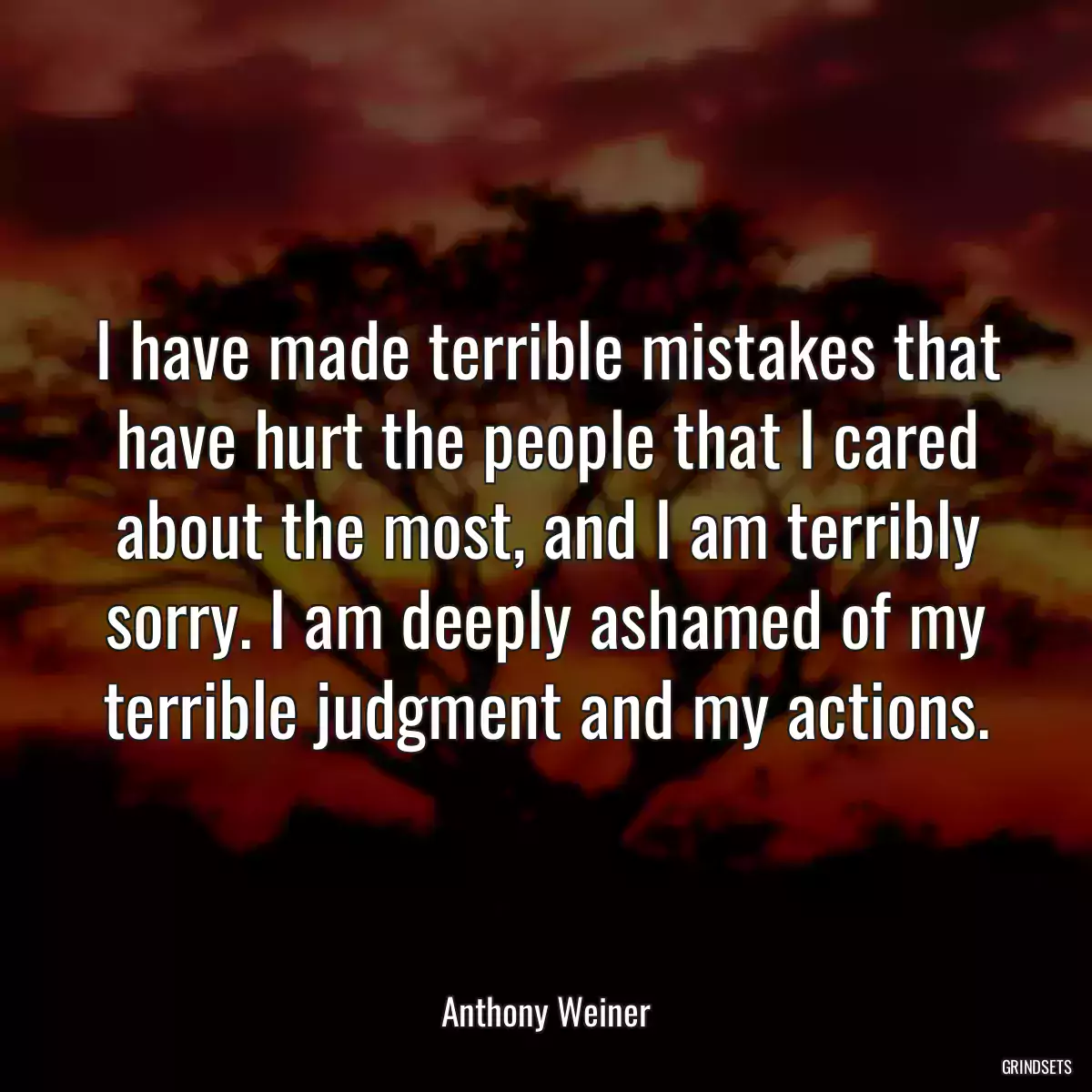 I have made terrible mistakes that have hurt the people that I cared about the most, and I am terribly sorry. I am deeply ashamed of my terrible judgment and my actions.