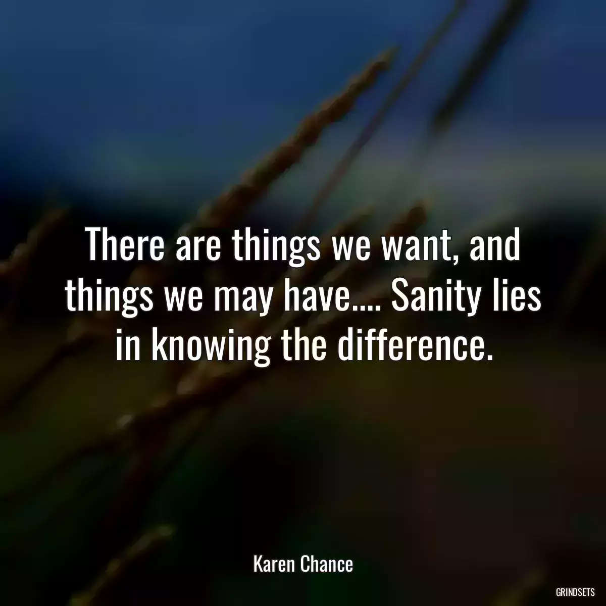 There are things we want, and things we may have.... Sanity lies in knowing the difference.