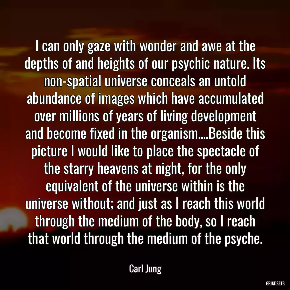 I can only gaze with wonder and awe at the depths of and heights of our psychic nature. Its non-spatial universe conceals an untold abundance of images which have accumulated over millions of years of living development and become fixed in the organism....Beside this picture I would like to place the spectacle of the starry heavens at night, for the only equivalent of the universe within is the universe without; and just as I reach this world through the medium of the body, so I reach that world through the medium of the psyche.