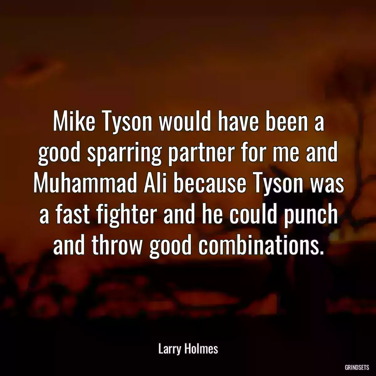 Mike Tyson would have been a good sparring partner for me and Muhammad Ali because Tyson was a fast fighter and he could punch and throw good combinations.