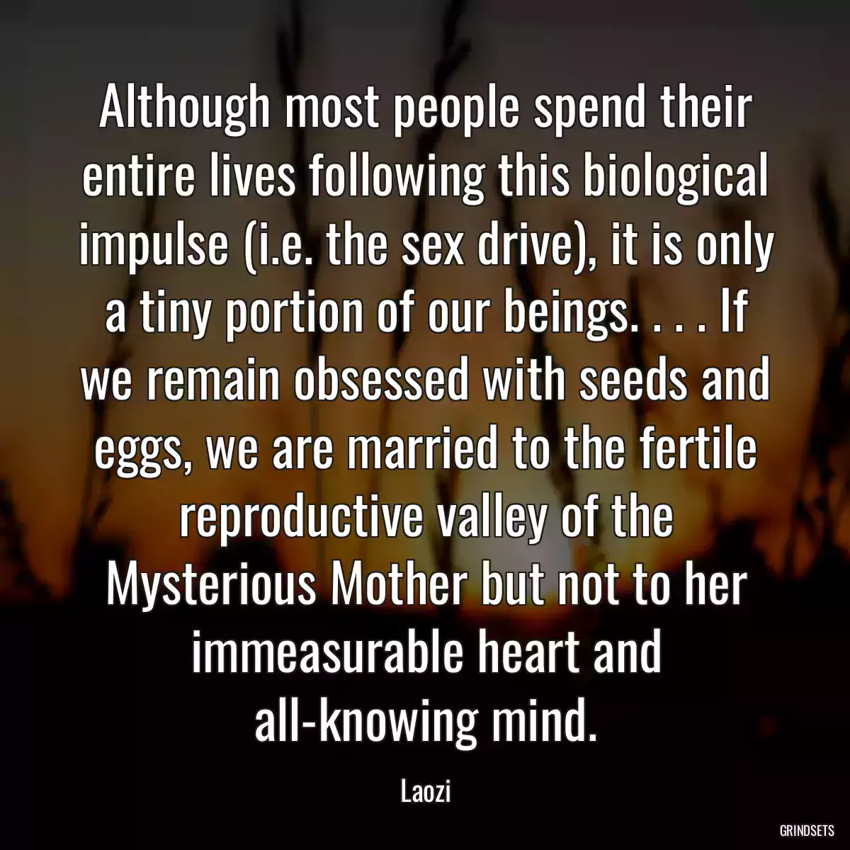 Although most people spend their entire lives following this biological impulse (i.e. the sex drive), it is only a tiny portion of our beings. . . . If we remain obsessed with seeds and eggs, we are married to the fertile reproductive valley of the Mysterious Mother but not to her immeasurable heart and all-knowing mind.