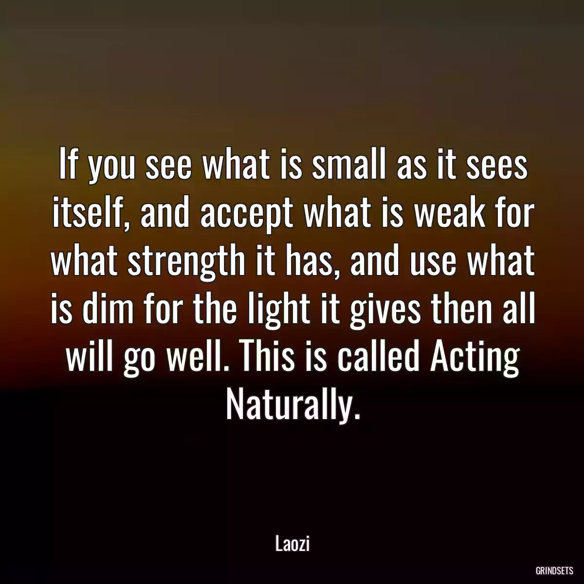 If you see what is small as it sees itself, and accept what is weak for what strength it has, and use what is dim for the light it gives then all will go well. This is called Acting Naturally.